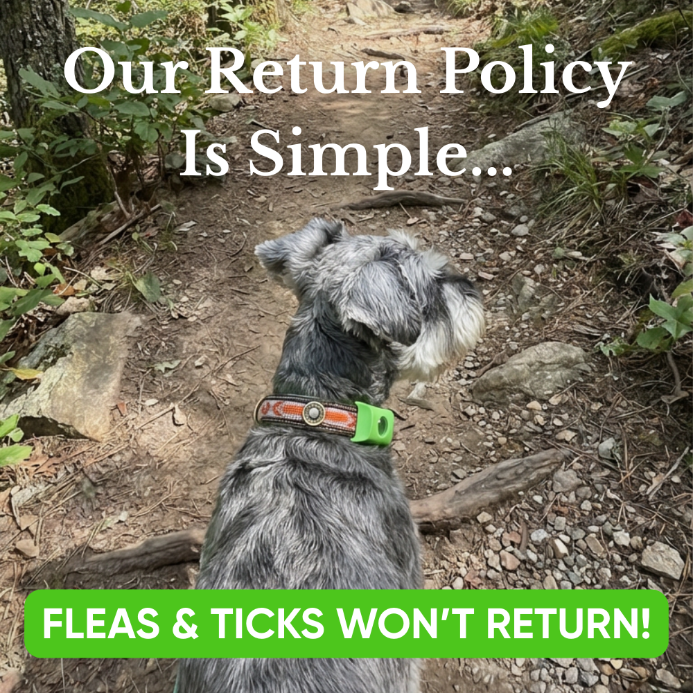 TruePaw Natural Flea & Tick Defense Pendant